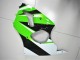 00-02 Green White Black ZX6R Motorcycle Fairings