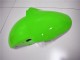 00-02 Green White Black ZX6R Motorcycle Fairings