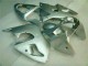 00-02 Silver ZX6R Motorcycle Fairings