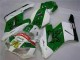 04-05 Green White CBR1000RR Motorcycle Fairings 04-05 Green White CBR1000RR Motorcycle Fairings