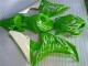 06-07 Green CBR1000RR Motorcycle Fairings 06-07 Green CBR1000RR Motorcycle Fairings