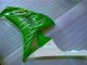 06-07 Green CBR1000RR Motorcycle Fairings 06-07 Green CBR1000RR Motorcycle Fairings