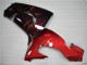 06-07 Red Flame ZX10R Motorcycle Fairings