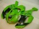 07-08 Green Black Dunlop ZX6R Motorcycle Fairings