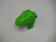 13-16 Green Black Silver EX300 Motorcycle Fairings